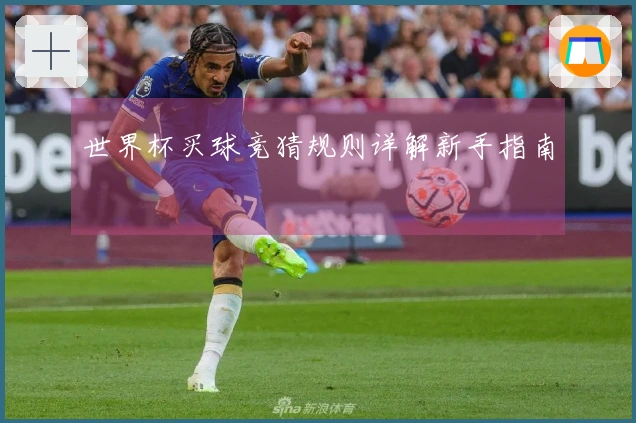 世界杯买球竞猜规则详解新手指南