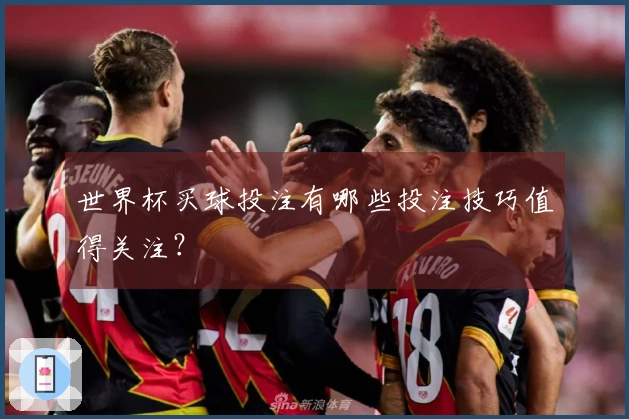 世界杯买球投注有哪些投注技巧值得关注？