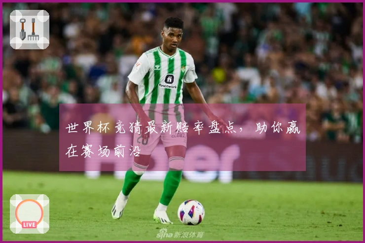 世界杯竞猜最新赔率盘点，助你赢在赛场前沿
