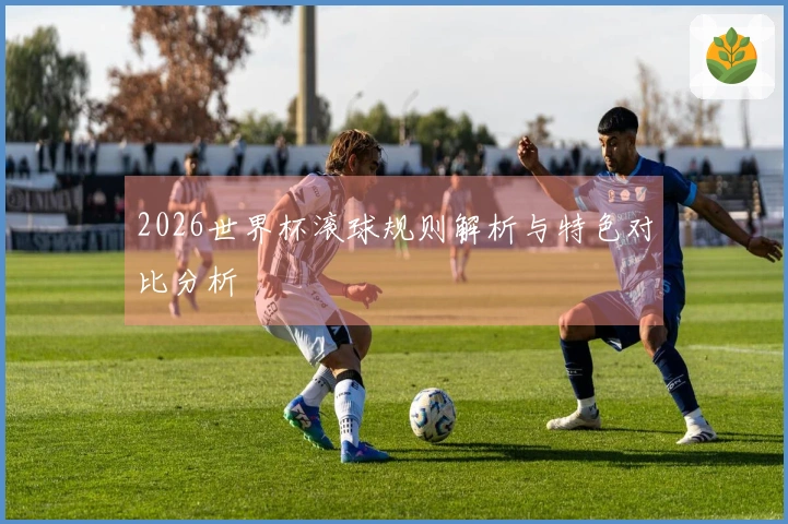 2026世界杯滚球规则解析与特色对比分析