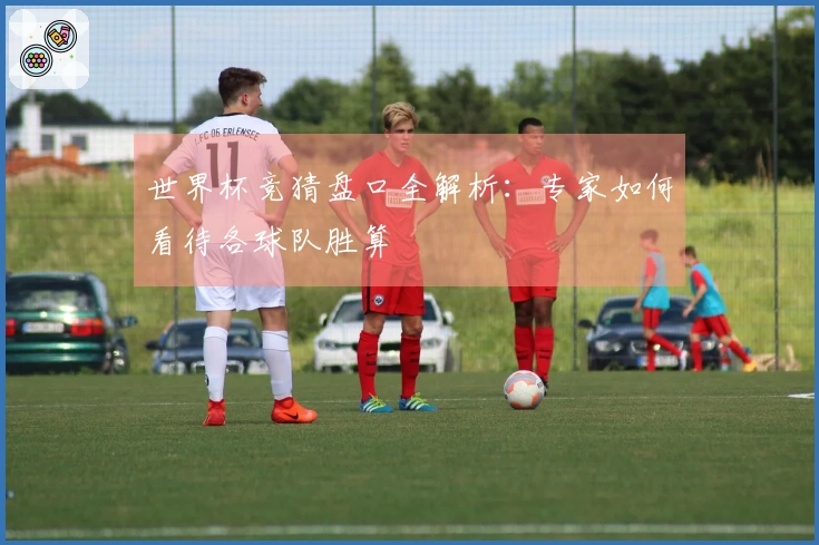 世界杯竞猜盘口全解析：专家如何看待各球队胜算