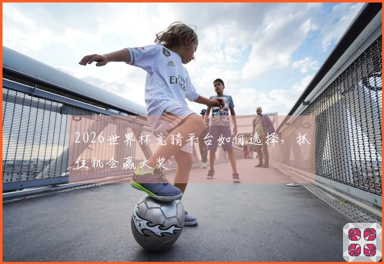 2026世界杯竞猜平台如何选择，抓住机会赢大奖
