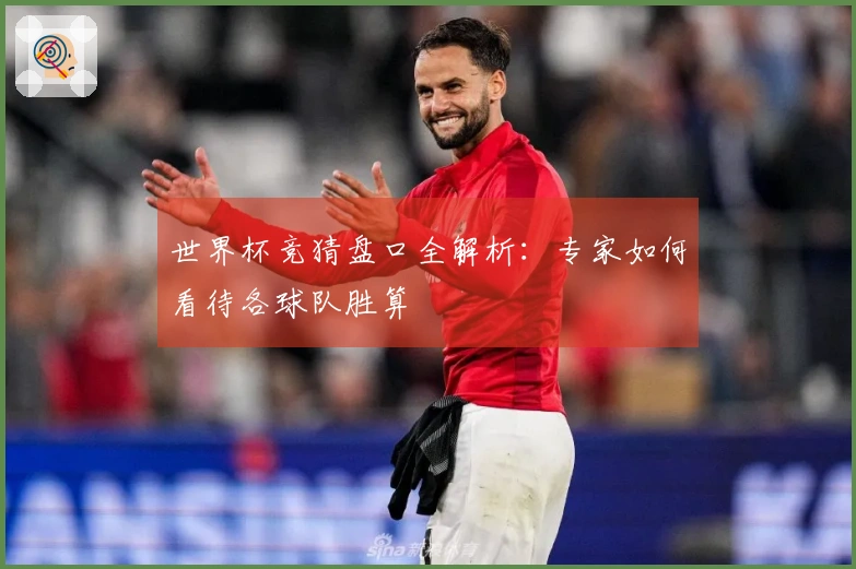 世界杯竞猜盘口全解析：专家如何看待各球队胜算